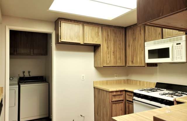 10258 Michala Place Gallery 4