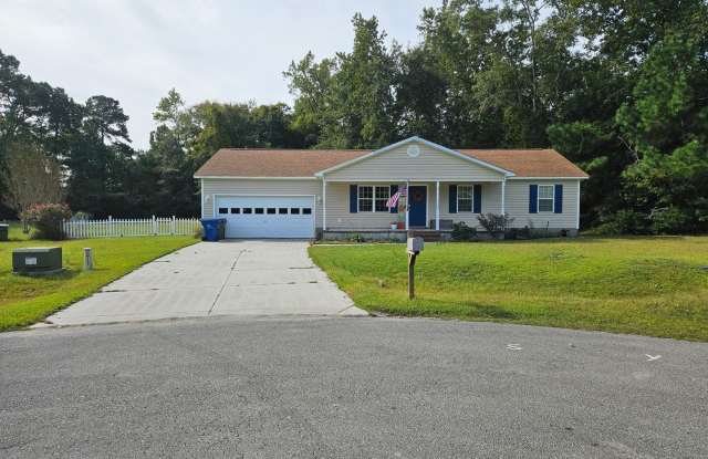 Beautiful 3 bedroom 2 bath home in Sneads Ferry - Justice Farm community photos photos