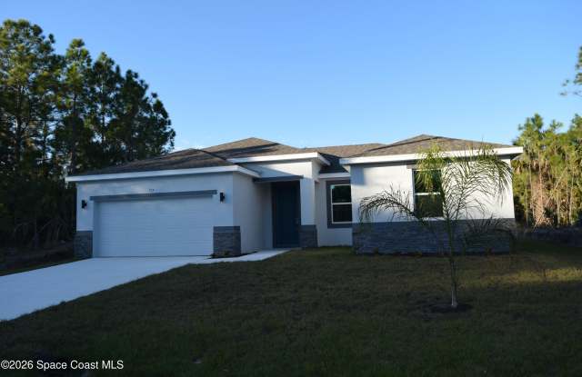 717 Spoonbill Street SW photos photos