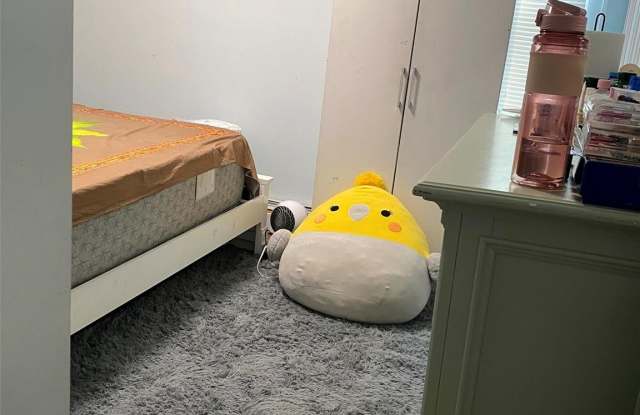 107-02 Pinegrove Street unit: 2Nd Floor - 107-02 Pinegrove Street, Queens, NY 11435