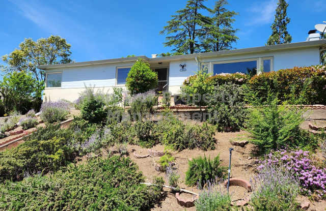 Charming 3 Bed, 2 Bath, 1,888 sqft House in Downtown Concord - Available now for lease! photos photos