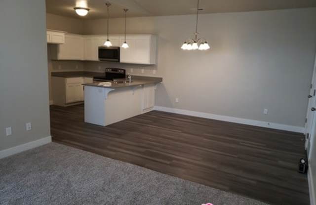 14688 S Astin Lane  Q304 Gallery 4