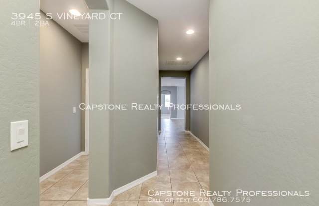 3945 S VINEYARD CT Gallery 3