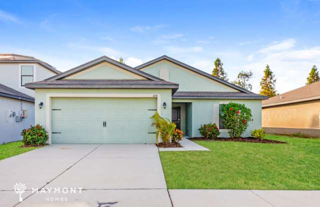 674 Chatham Walk Drive - 674 Chatham Walk Drive, Ruskin, FL 33570