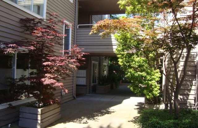 Madison Court Gallery 3