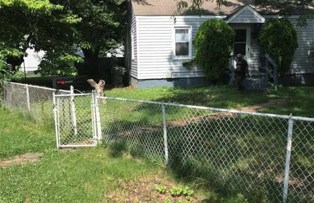 13 Cornell Drive photos photos