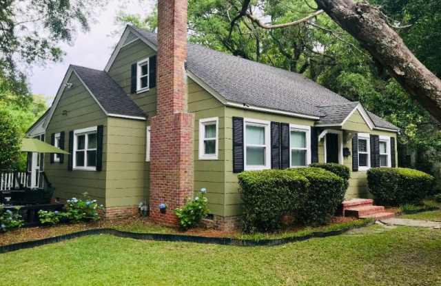 17 Penn Ave - 17 Penn Avenue, Charleston County, SC 29407