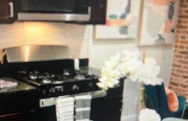 1115 W Lombard St Gallery 4