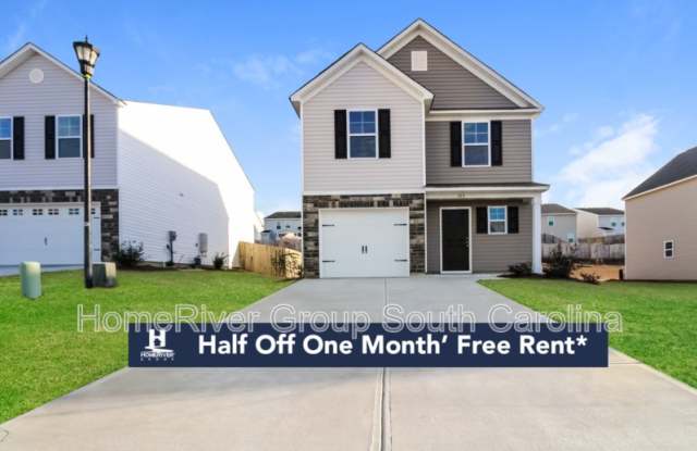 303 Savannah Hills Dr - 303 Savannah Hills Drive, Lexington County, SC 29073