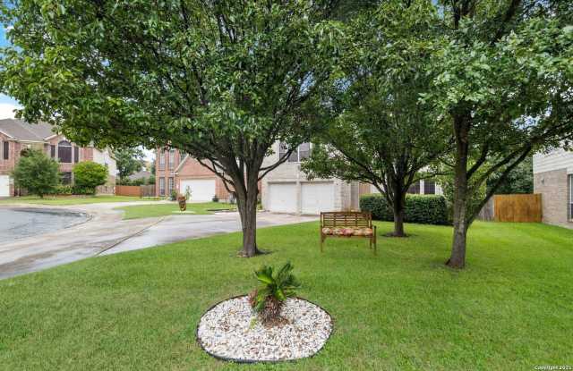 24510 Arrow Tree Gallery 2