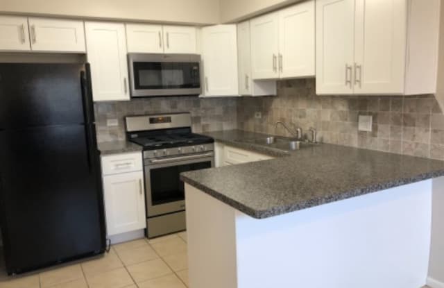 4520 Elm 2S - 4520 Elm Avenue, Brookfield, IL 60513