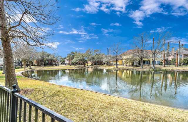 15 Lake Mist Court - 15 Lake Mist Court, New Territory, TX 77479