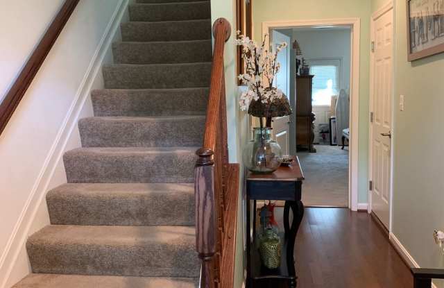 124 Amelia Way Gallery 2
