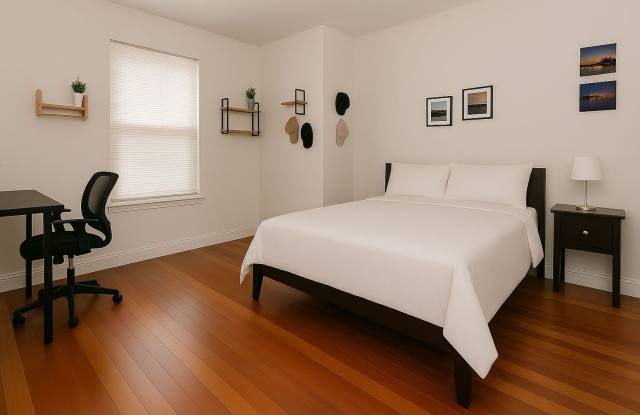 Large Unit near T and Brookline Border.  GREAT for BU students! Cat OK Gallery 4