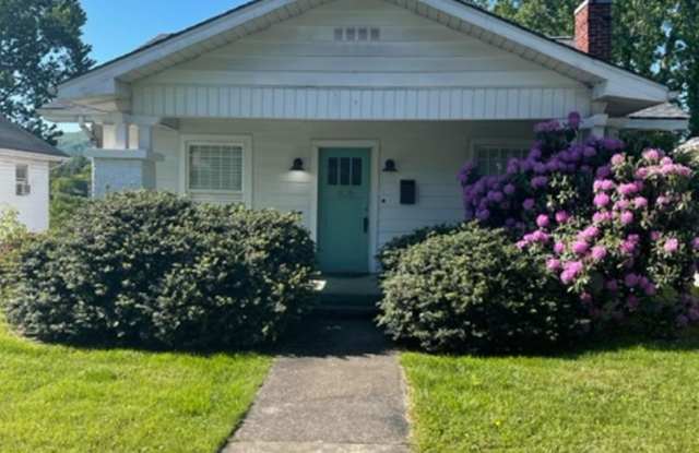 Wonderful Updated Classic Bungalow Walk or Bike to Med School, ETSU & Downtown Johnson City Gallery 3