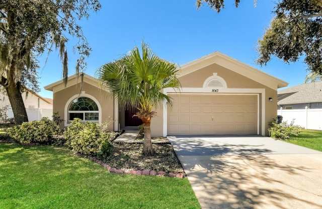1643 AUDUBON TRAIL - 1643 Audubon Trail, Land O' Lakes, FL 33549