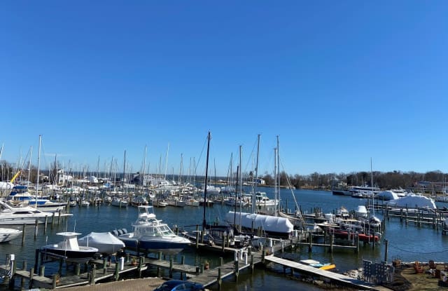 409 CHESTER unit: 3 Fl photos photos 409 CHESTER unit: 3 Fl photos photos