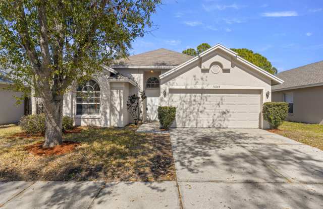 10264 Oasis Palm Dr photos photos