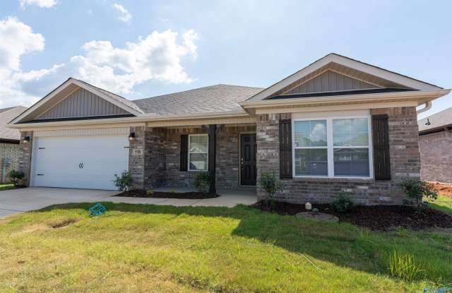 118 Ocean Springs Avenue - 118 Ocean Springs Avenue, Madison County, AL 35773