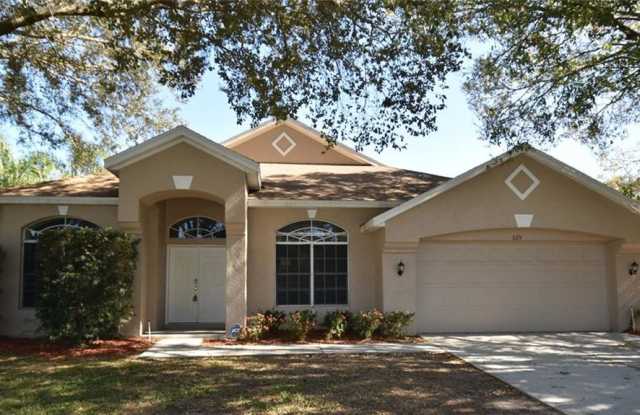 325 COUNTRY VINEYARD DRIVE - 325 Country Vineyard Drive, Brandon, FL 33594
