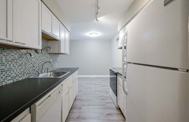 Charming 1-Bedroom Condo with Carport & Assigned Storage in Northville Gallery 3