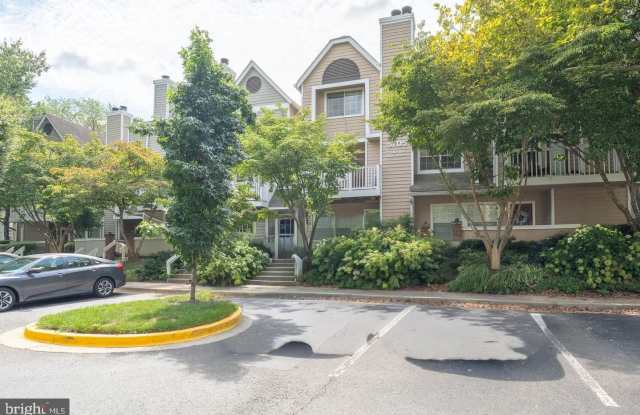 5705 CHAPMAN MILL Drive Gallery 1
