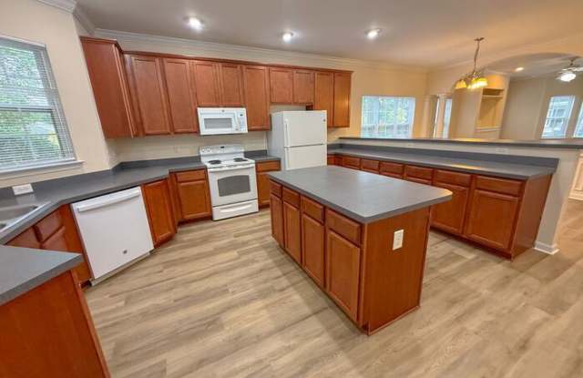 257 Maynard Summit Way Gallery 4