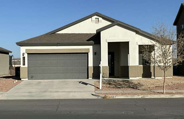 11565 Leonor Duran Street photos photos