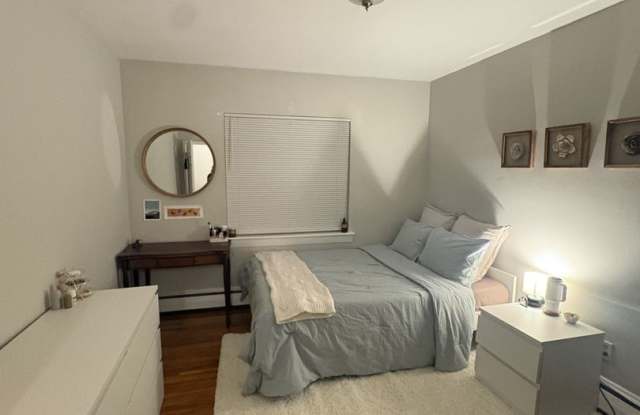 See YT Video!  No Fee!  Huge & Sunny Apt near Ts & Cleveland Cirlce.  Cat Friendly photos photos