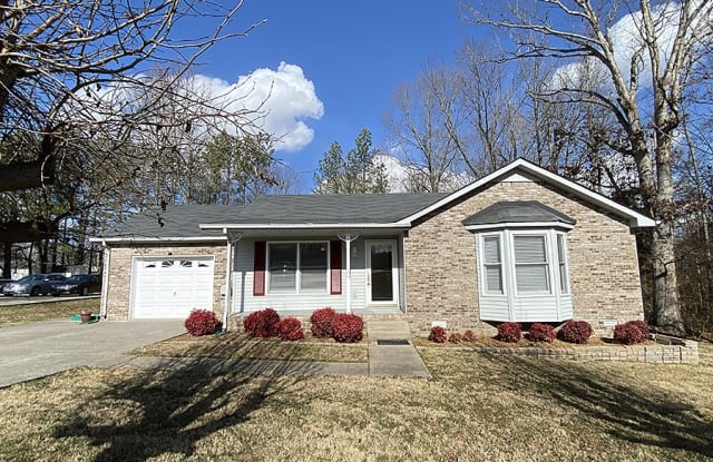 2825 Highway 41-A South - 2825 Highway 41A S, Montgomery County, TN 37043