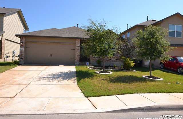 15525 GRAY CATBIRD photos photos