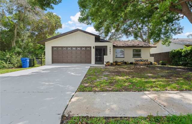 1351 OHIO AVENUE - 1351 Ohio Avenue, Dunedin, FL 34698