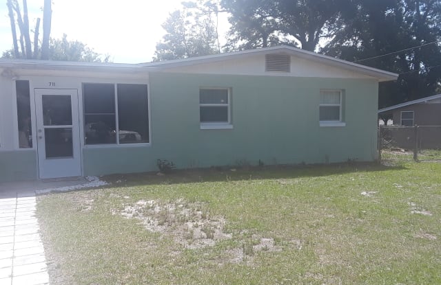 711 Plumosa Ave - 711 Plumosa Avenue, Fruitland Park, FL 34731
