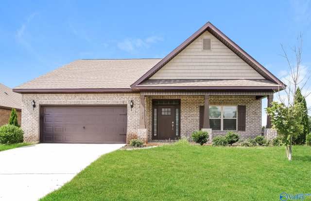 227 Balota Street - 227 Balota Street, Meridianville, AL 35759