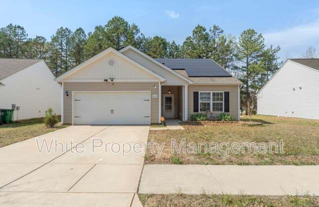 6113 Purbeck Way - 6113 Purbeck Way, Mecklenburg County, NC 28215