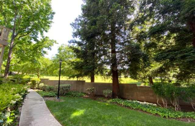 3318 Smoketree Commons Dr Gallery 3