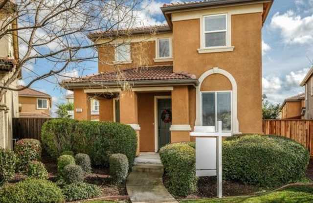 Gorgeous 3/2.5 with Office AND Bonus Room (PLEASE READ ENTIRE AD BEFORE REQUESTING A VIEWING). Gallery 3