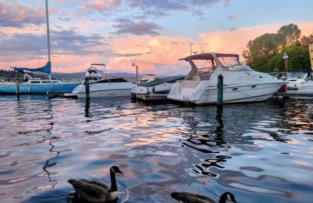 9500 Rainier Avenue South photos photos