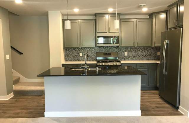 Modern 3BR/2.5BA Townhome in Prime Otsego Location for $2,499! photos photos