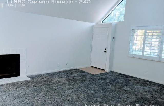 11860 Caminito Ronaldo Gallery 2