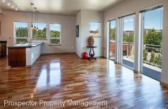 375 Kirkland Way #302 Gallery 4