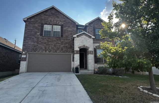 1619 CROWN DAISY Gallery 2