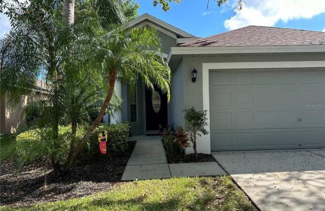 10223 WOODFORD BRIDGE STREET - 10223 Woodford Bridge Street, Westchase, FL 33626