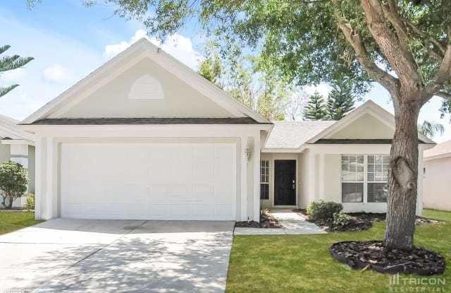 10535 Egret Haven Lane - 10535 Egret Haven Lane, Riverview, FL 33578