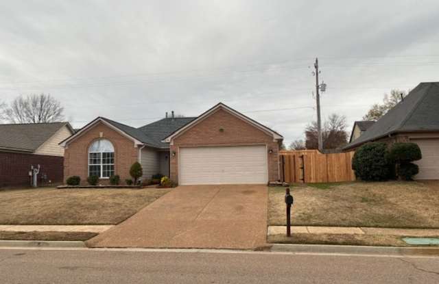 Spacious Cordova Home-- Move in READY - 1079 Scofield Drive, Shelby County, TN 38018
