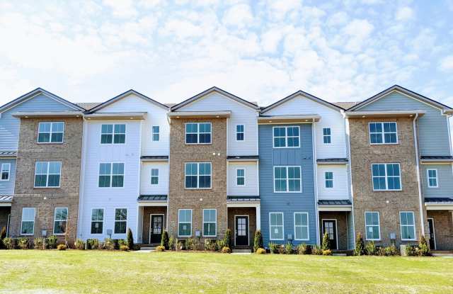 Luxury Town Home - Williamson County - End Unit photos photos