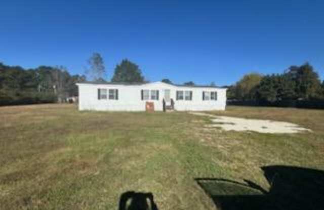 106 Bill Blake Drive - 106 Bill Blake Drive, Pender County, NC 28478
