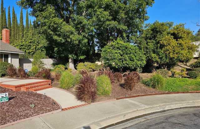 25451 Del Cobre Gallery 2