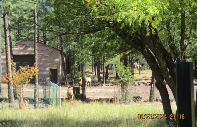 3850 W White Mountain Blvd photos photos