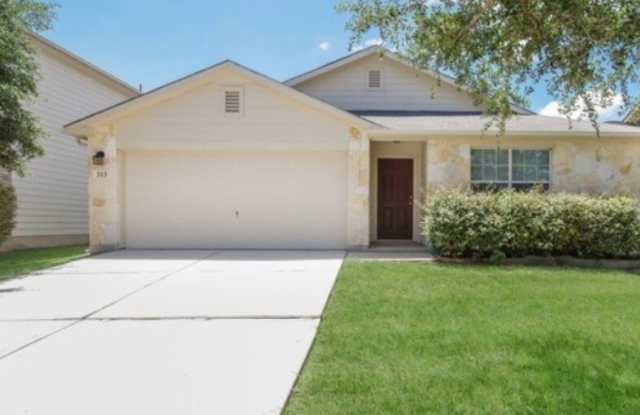 313 Lasso photos photos